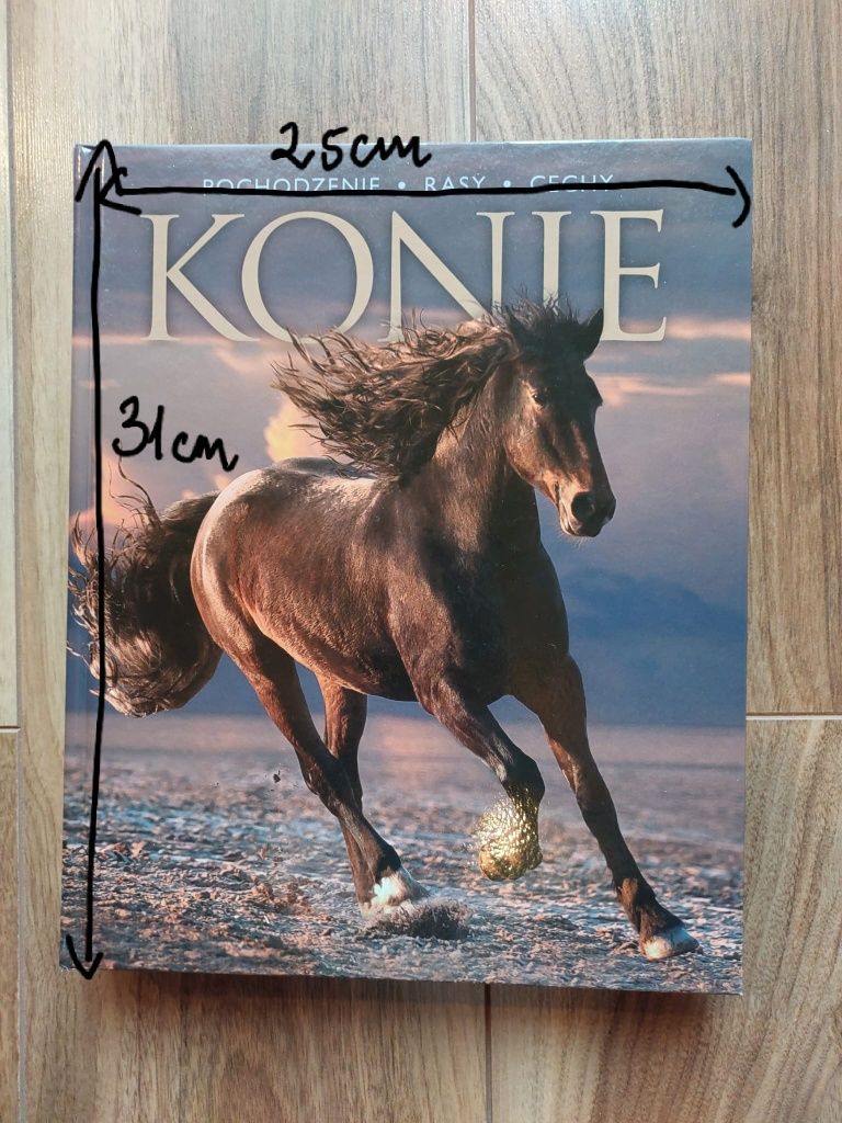 Książka o koniach