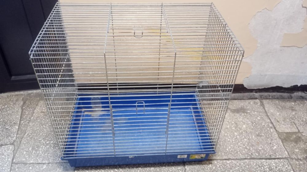 Klatka dla gryzonia świnki morskiej królika 59x36x59cm