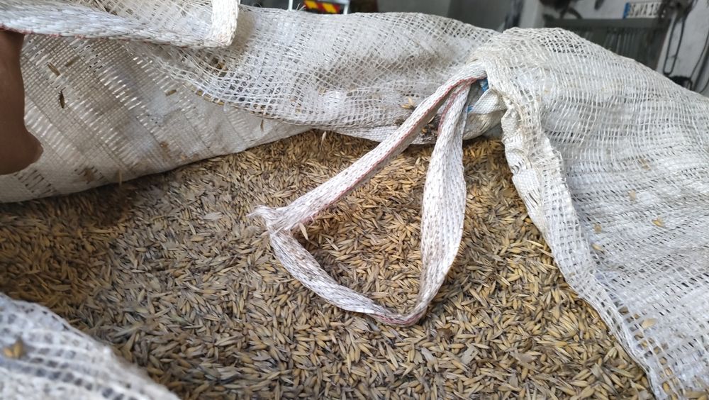 Sprzedam owies pellet nie palony, dla koni