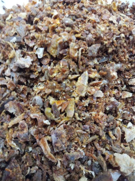 Propolis Kit pszczeli 100 gram z 2024r