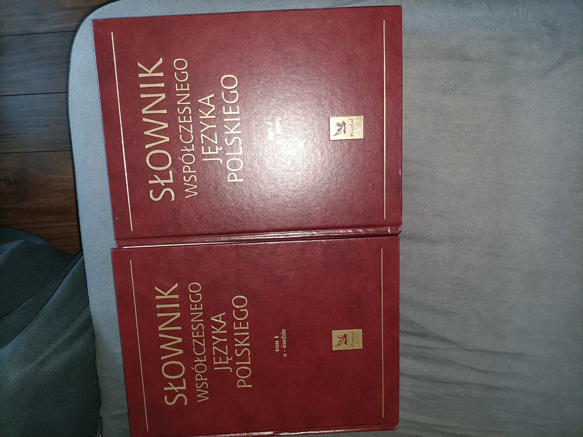 Współczesny słownik języka polskiego