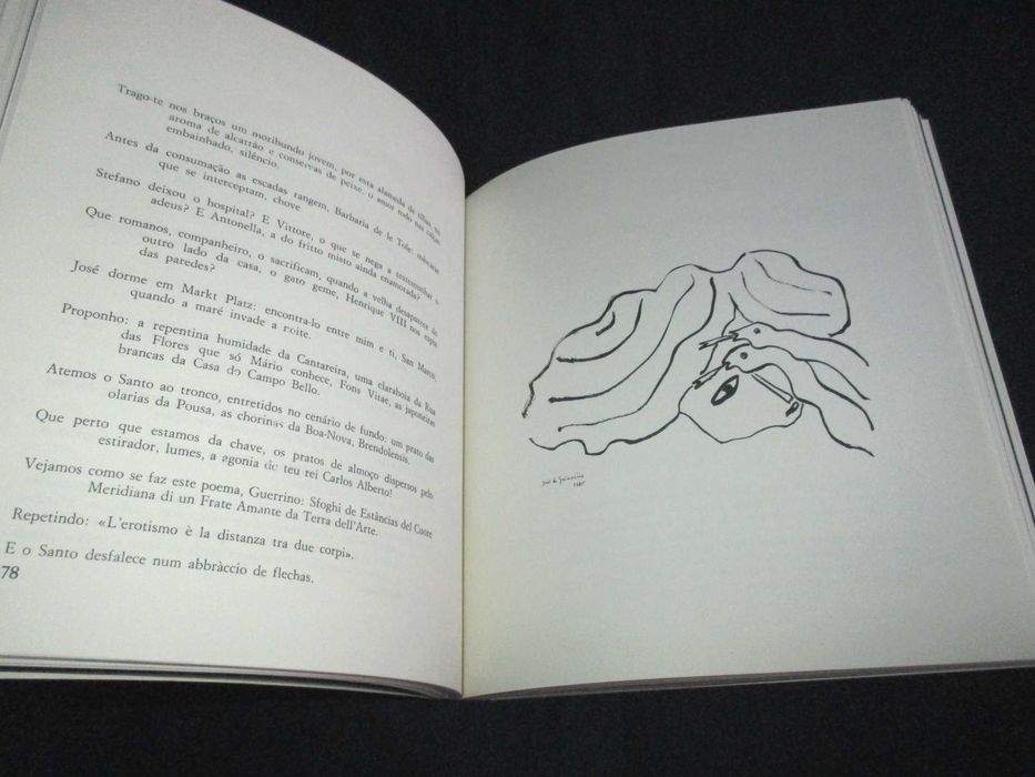 Livro As Palavras da Tribo Fernando Guimarães