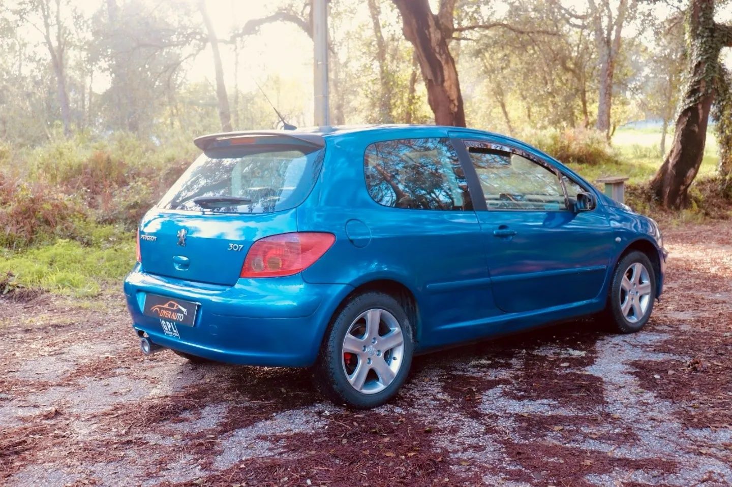 Peugeot 307 1.6 GPL