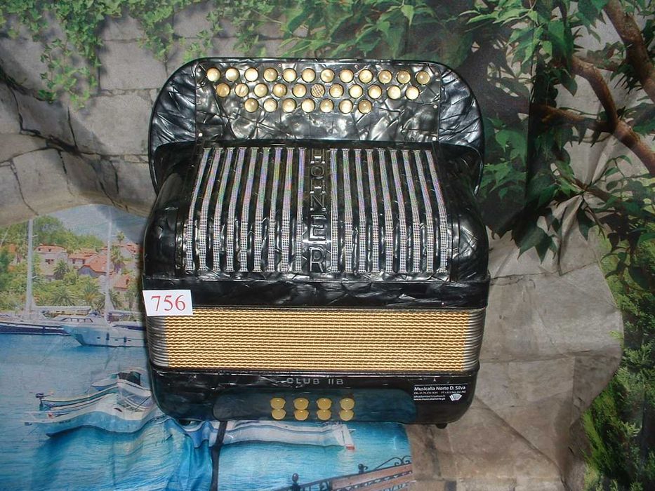 Concertina a venda n.756