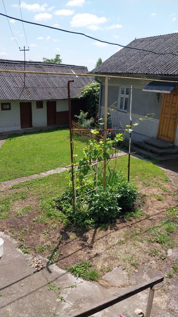 Будинок з господарськими будівлями.