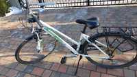 Pegasus Piazza 28".Rower trekkingowy. Rama aluminiowa.