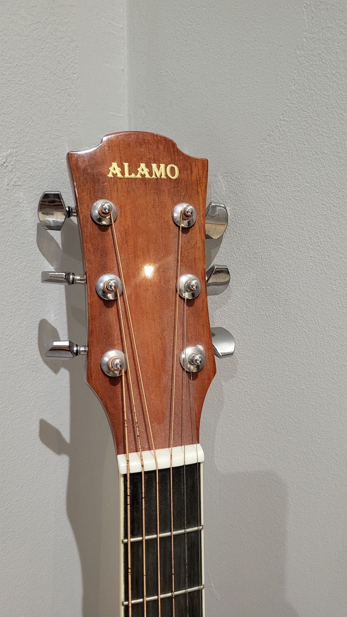 Gitara akustyczna Alamo 4/4