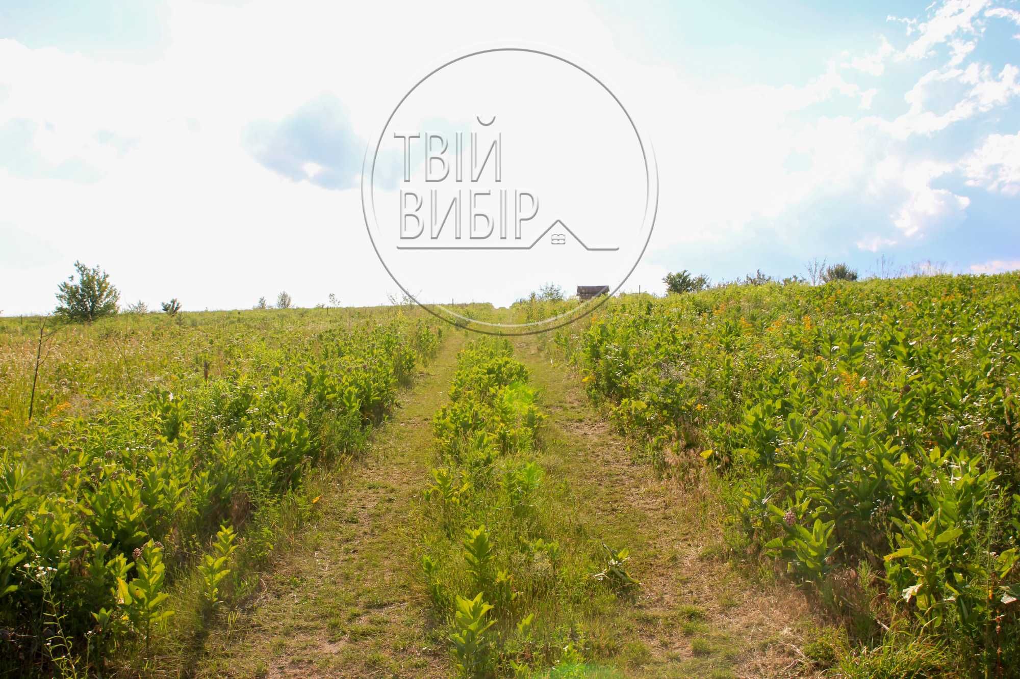 Видова Ділянка з Виходом в Ліс Горбовичі