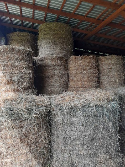 Słoma w belach .