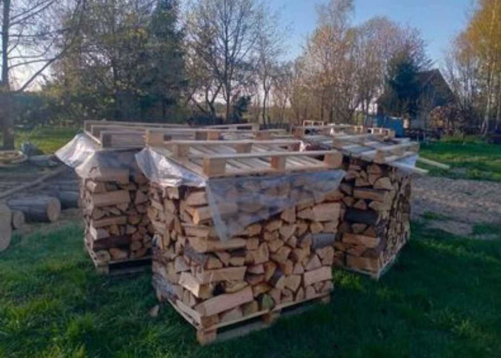 Paleta układany Dąb