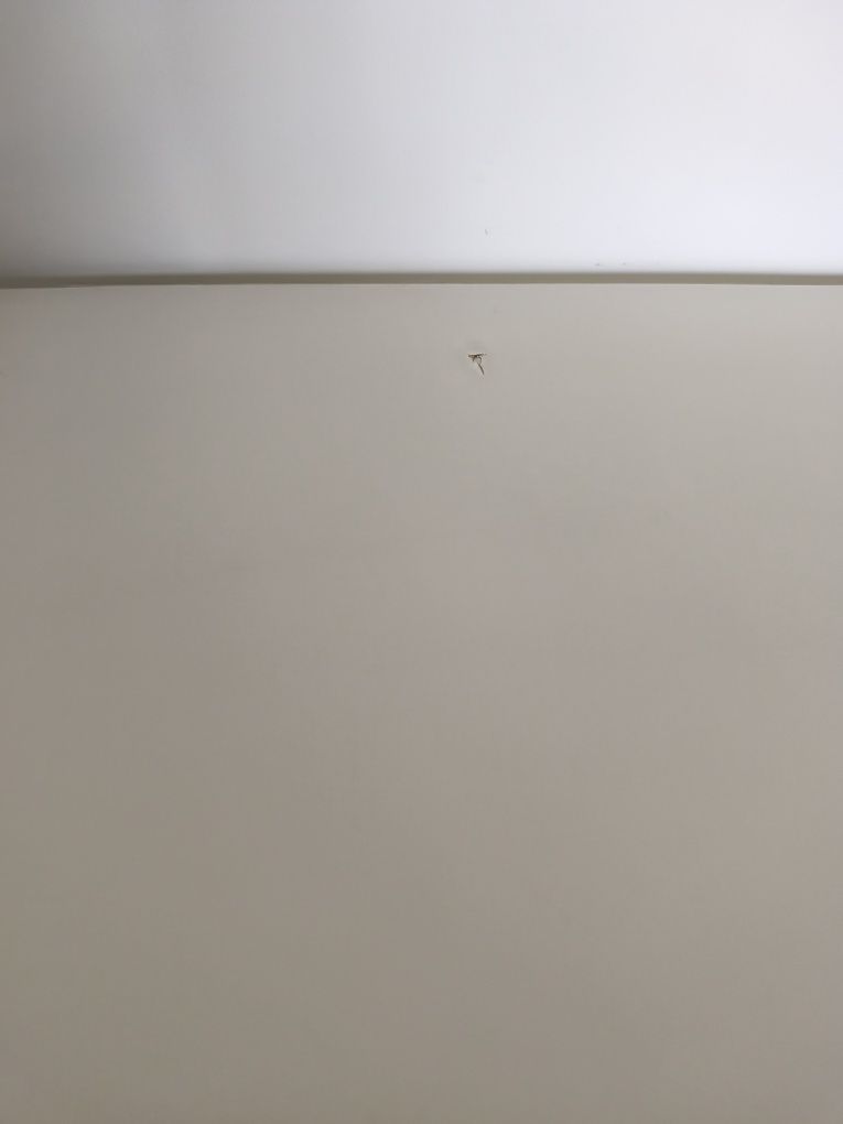 Kallax IKEA regał