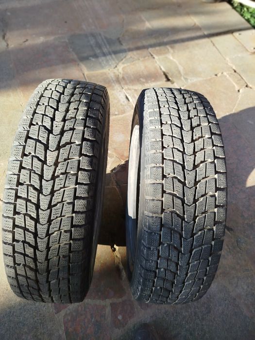 Шини Dunlop R17 225/65