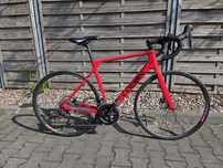 Canyon Endurace CF 7 DISC rozm. M