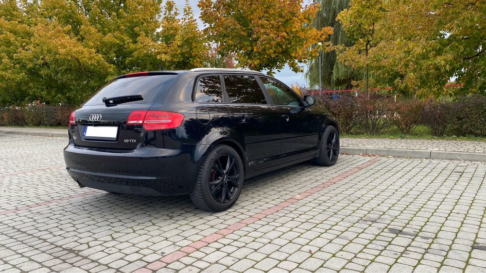 Audi A3 8P Lift 1.6 TDI
