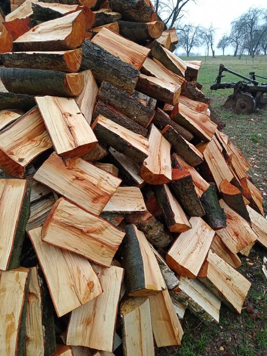 Drzewo opałowe kominkowe