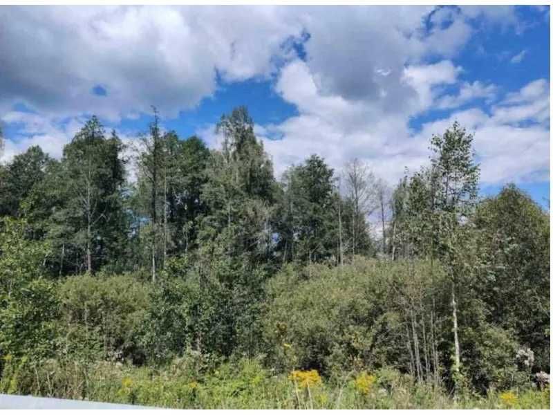 Земельна ділянка (5,0 га) - с. Березівка Житомирської обл.