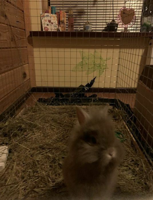 Манеж, Вольер, Клетка, Клітка, для собак, щенков, кошек, кроликов.