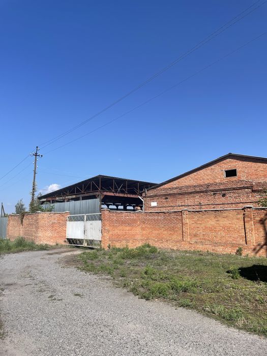 Комерційна нерухомість