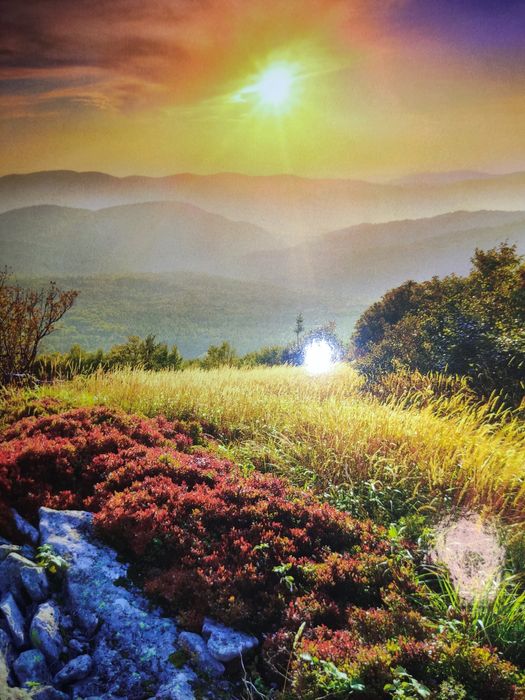 Pocztówki nowe  100 szt. 20zł