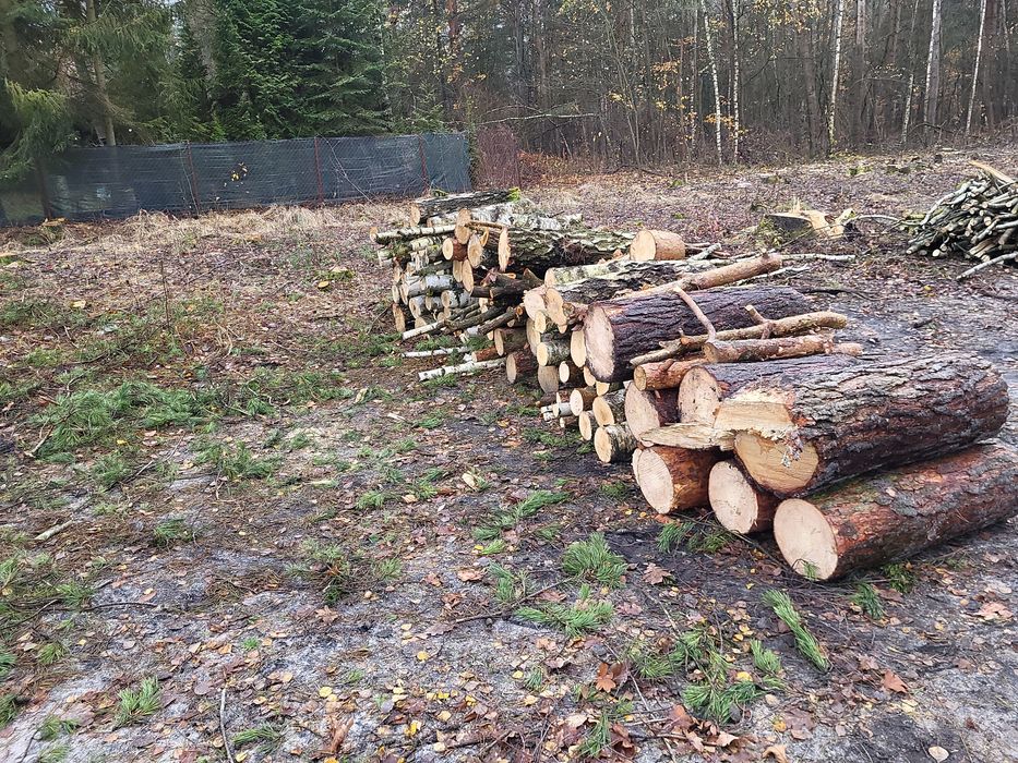 Sprzedam 20m drzewo Osika/Sosna/Brzoza