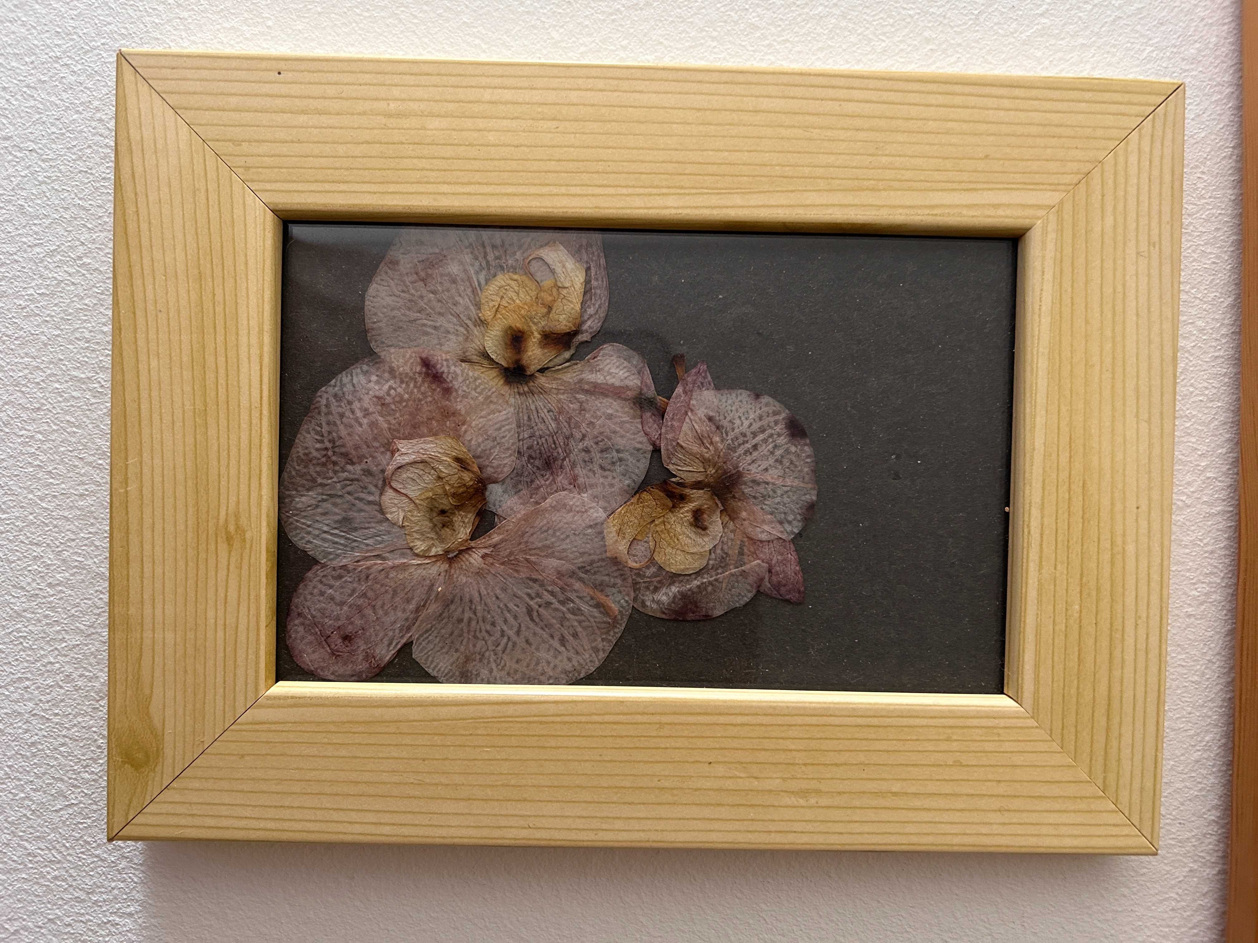 Quadro/ moldura com folhas de orquidea