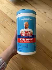 Тканинні дезинфікуючі салфетки Mr. Clean 75 шт