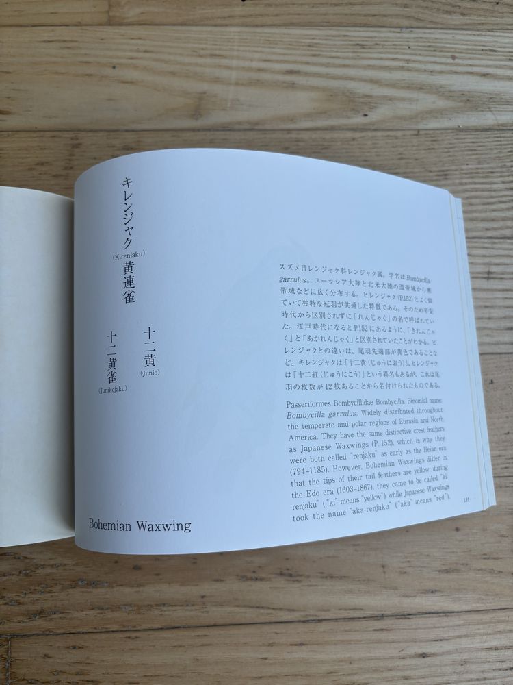 „Birds of Edo” Kazuhiko Tajima