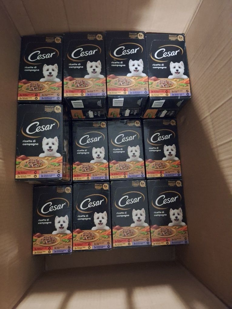 Mokra karma Cesar dla psów 8x150g różne smaki duża ilość.