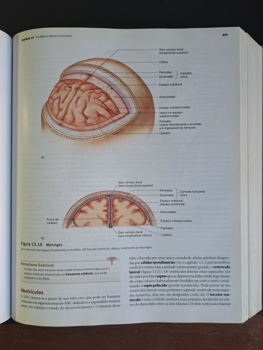 Anatomia & Fisiologia + Guia de Estudo
(6ª Edição)
de Rod R. Seeley, P