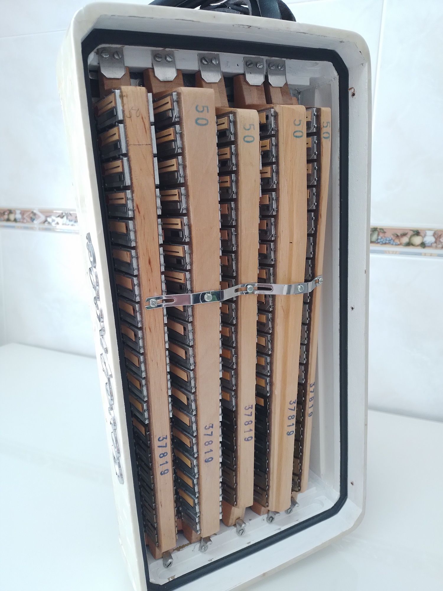Acordeon/Acordeão  Cavagnolo
