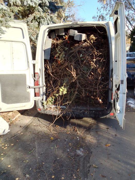 Wywóz gałęzi liści odpady zielone śmieci sprzątanie działek
