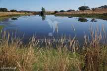 Herdade No Alentejo