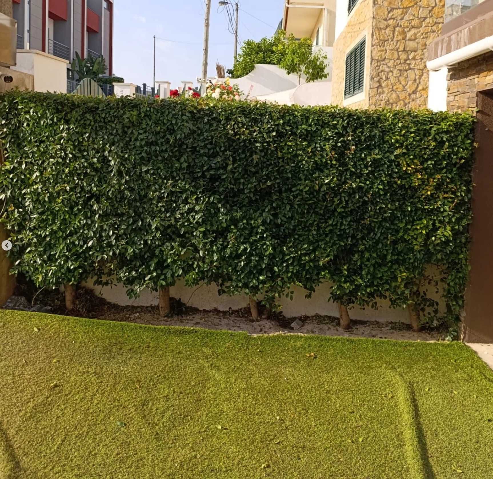 Manutenção de Jardins- Serviços