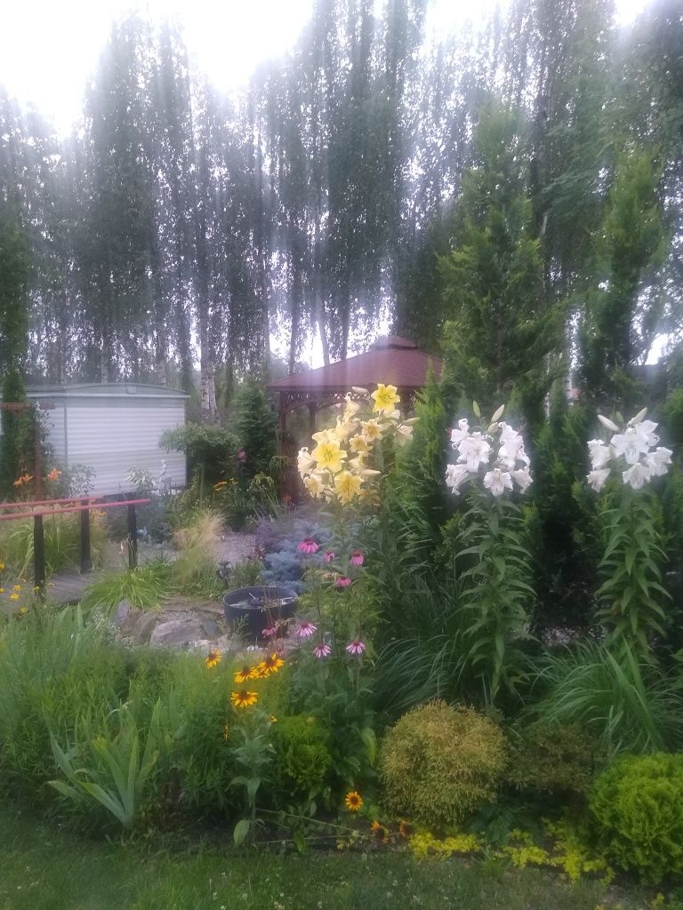 Całoroczny Domek w miejscowości Osłonin nad jeziorem