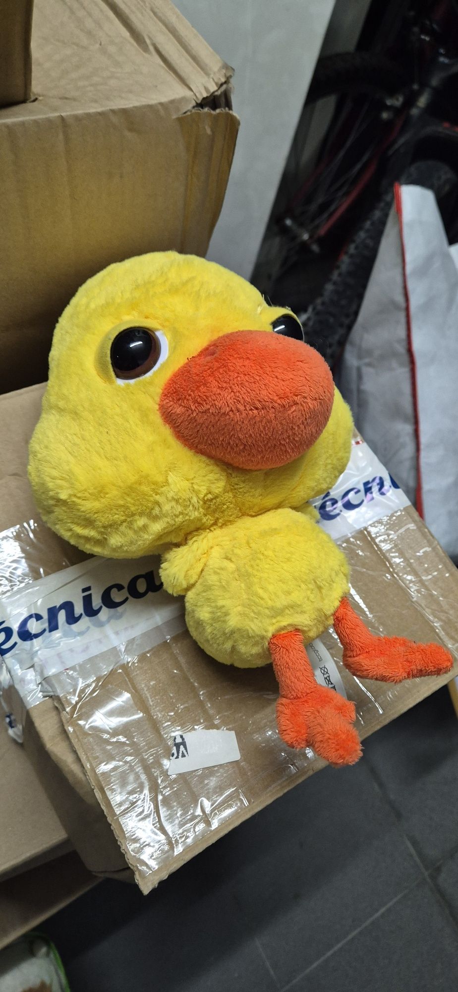 Peluches variados