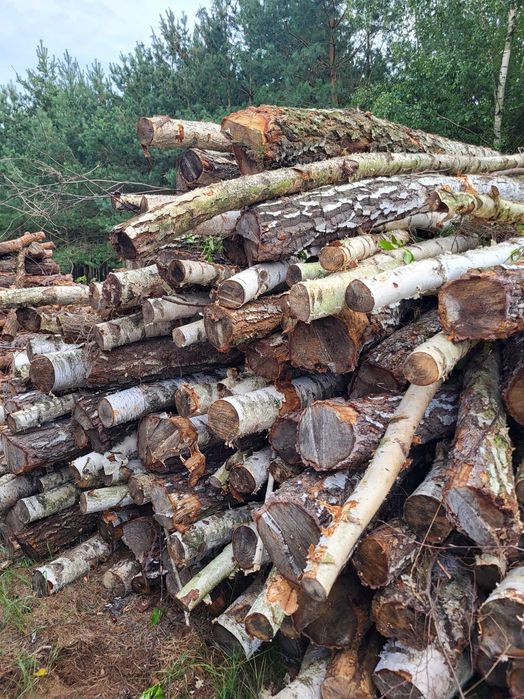 Drewno opałowe olcha, sosna, dąb, brzoza