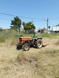 Limpeza de terreno