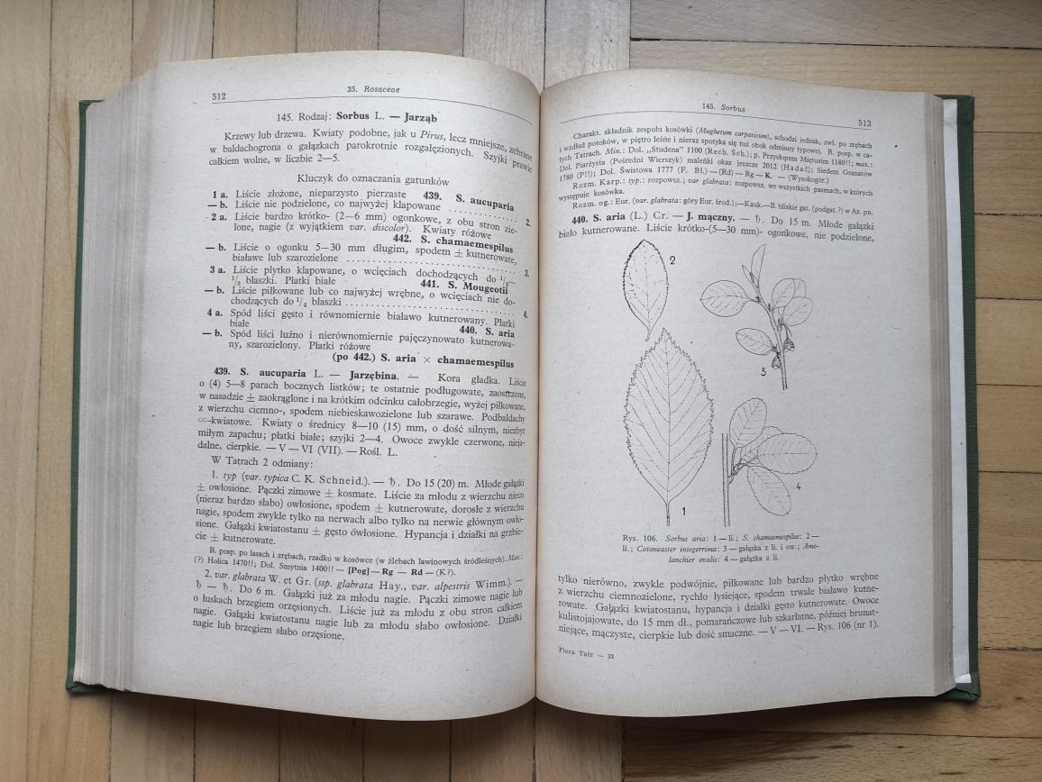 Bogumił Pawłowski Flora Tatr tom I Rośliny naczyniowe PWN 1956