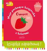 Akademia mądrego dziecka. Owoce - Mr Iwi