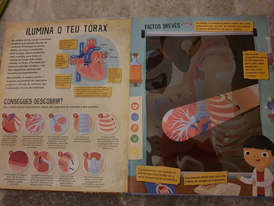 Livro O Corpo Humano