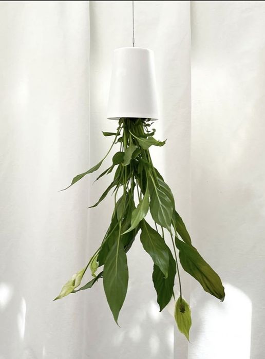 Bosske Sky Planter - 5 Vasos invertidos para pendurar no teto