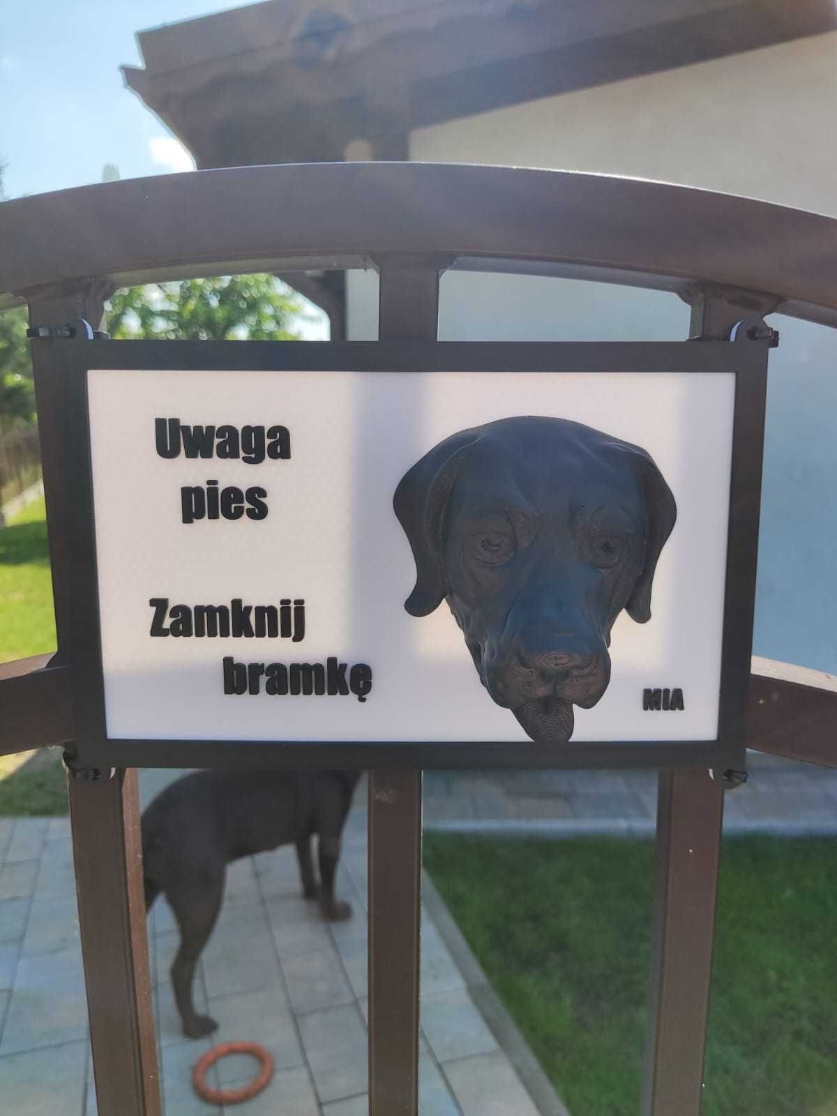 Tabliczka uwaga pies 3d - labrador