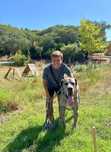 Pet Hotel Setúbal
