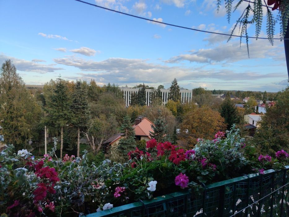 Wynajmę mieszkanie 2 pokoje 46m2 Nisko