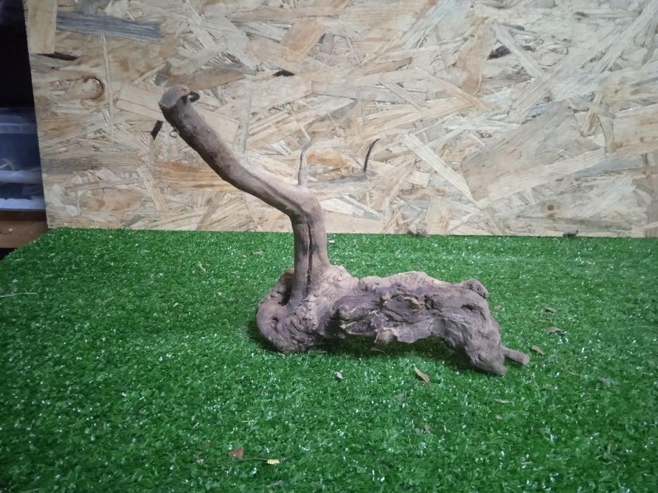 Korzeń do akwarium Red Moore Wood nr 732 o wymiarach 18/15/17