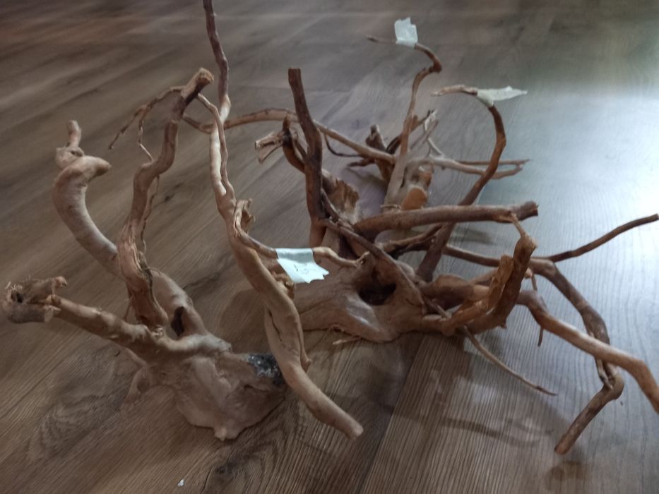 Korzenie do akwarium, terrarium