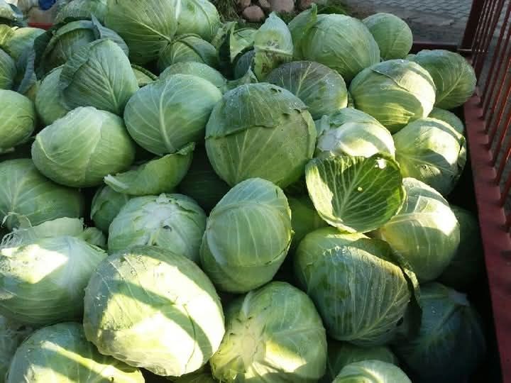 Kapusta szatkowana, ziemniaki, marchew, buraki