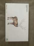 Tablet graficzny Huion H640P Czarny