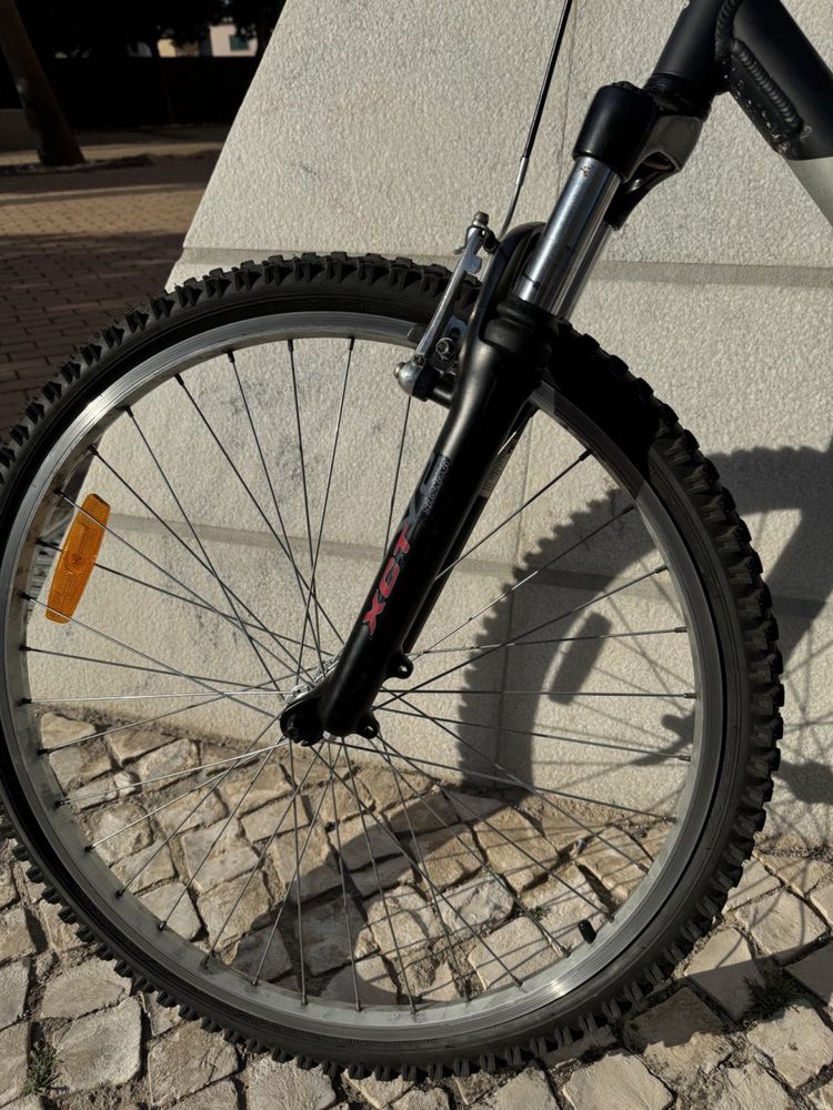 Bicicleta montanha Berg