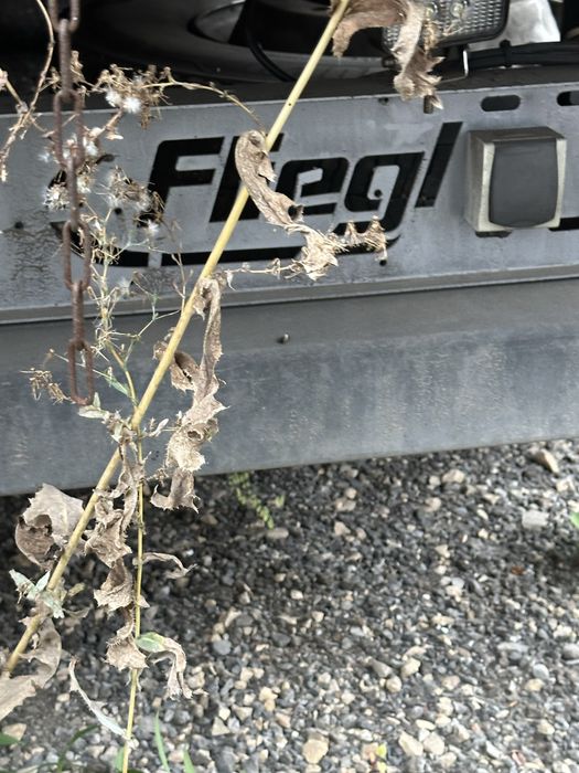 Naczepa mulda fieranja